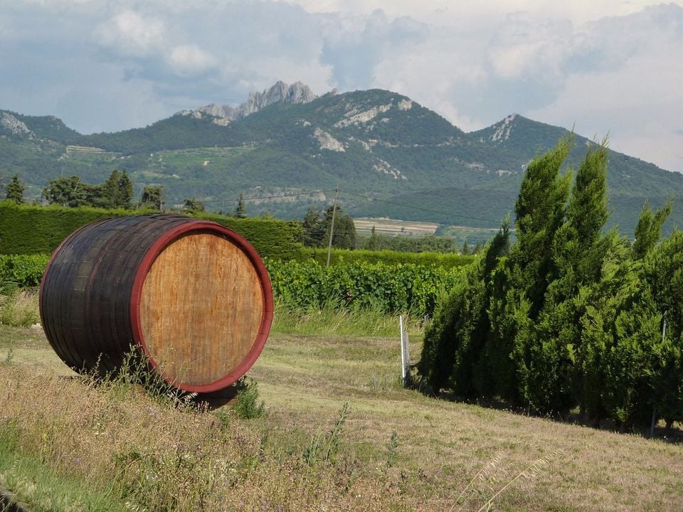 Camping Des Favards Provence-Alpes-Côte d'Azur - Violès visuel 10/10