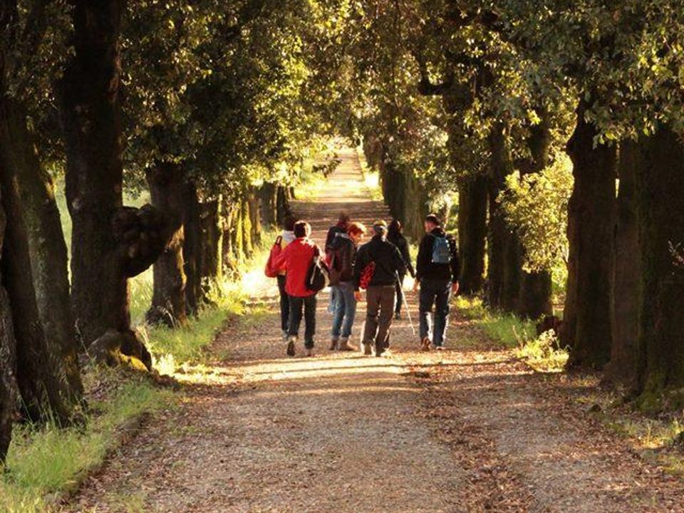 Camping Barco Reale, 4* - 33