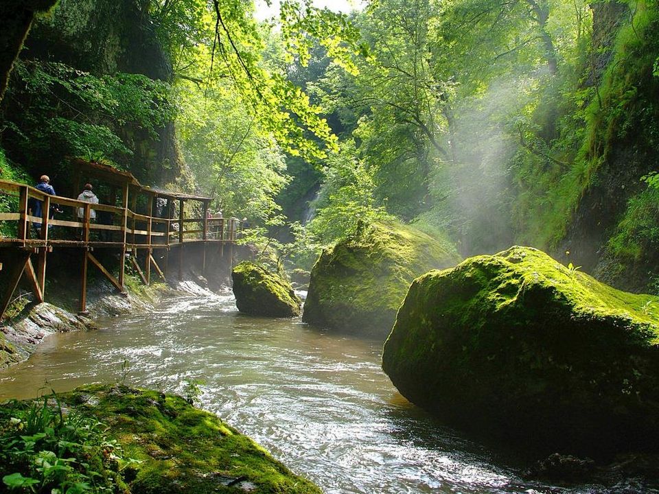 France - Auvergne - Neuvéglise - Flower Camping Le Belvédère 4*