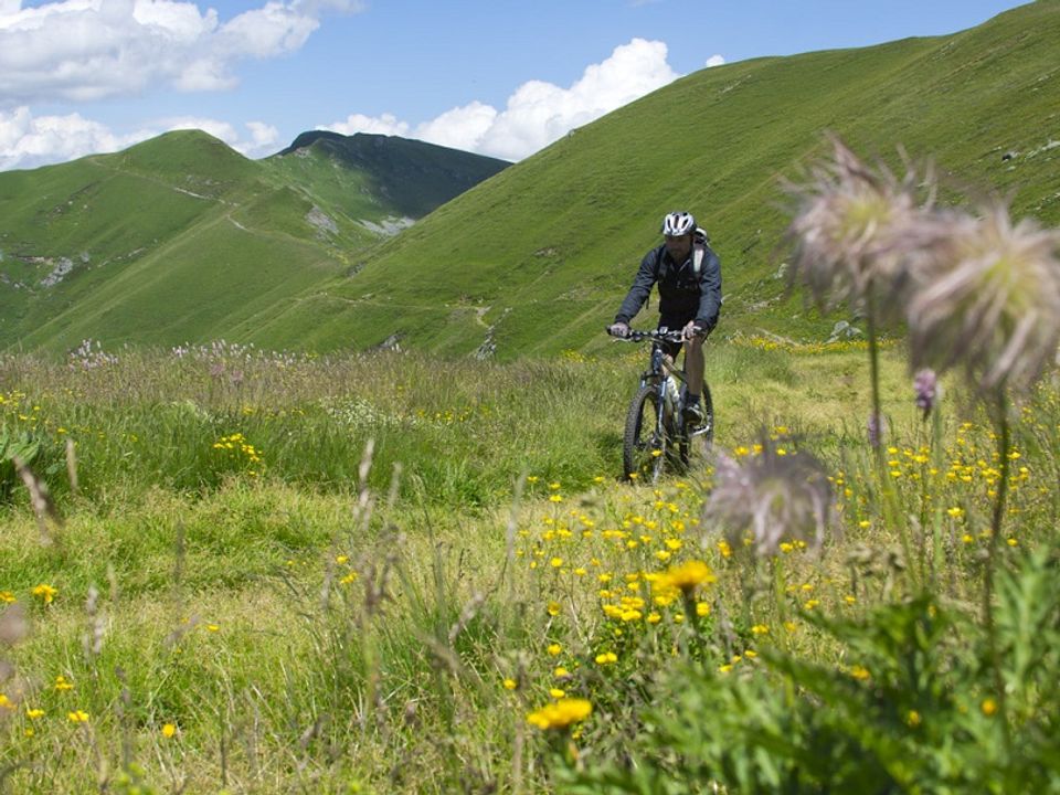 France - Auvergne - Neuvéglise - Flower Camping Le Belvédère 4*