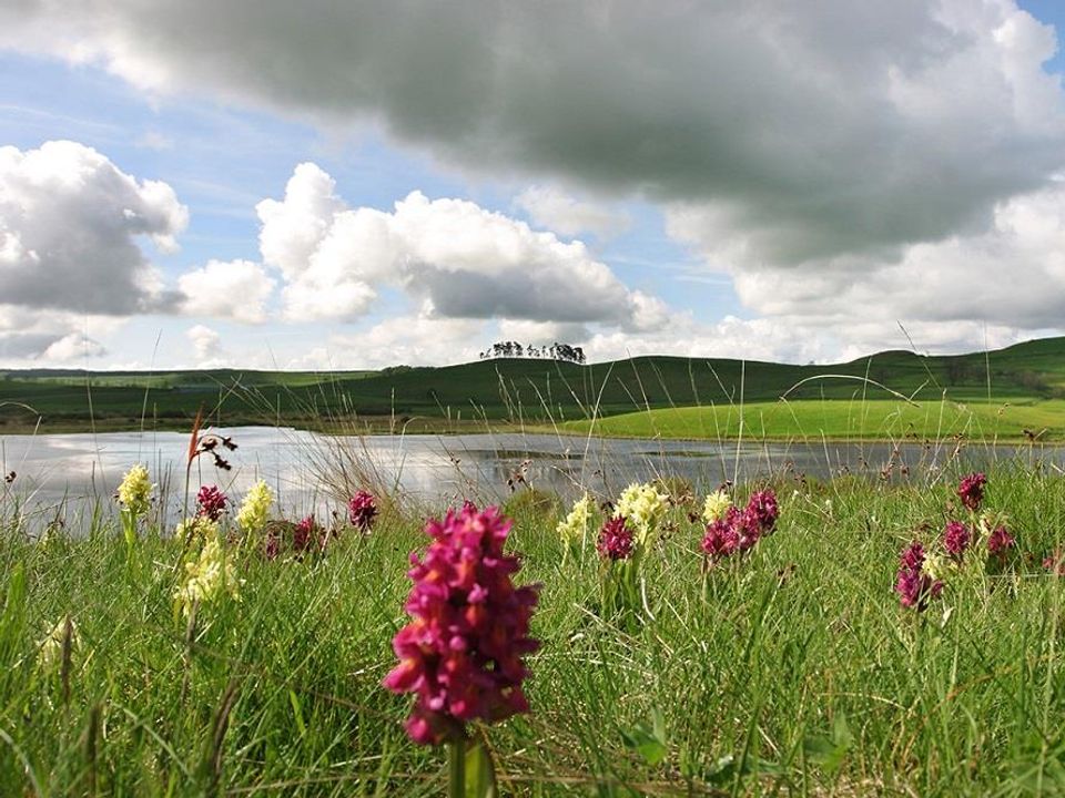 France - Auvergne - Neuvéglise - Flower Camping Le Belvédère 4*