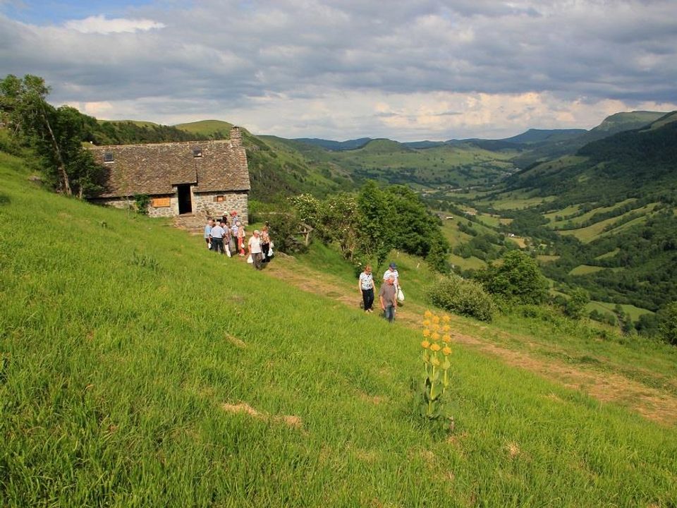 France - Auvergne - Neuvéglise - Flower Camping Le Belvédère 4*