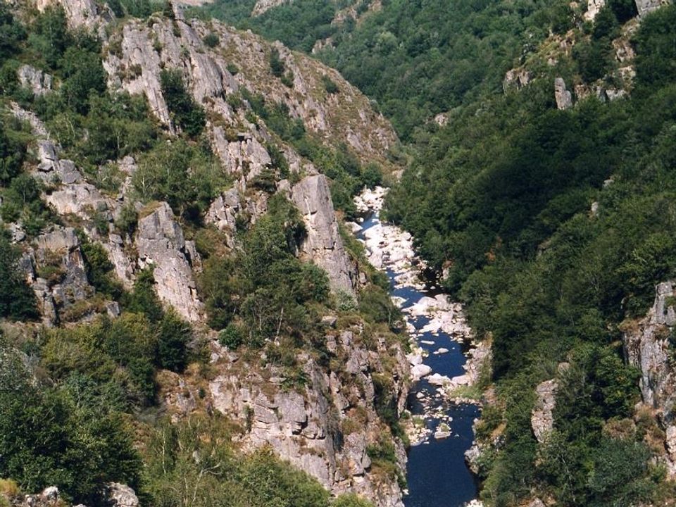 France - Auvergne - Neuvéglise - Flower Camping Le Belvédère 4*
