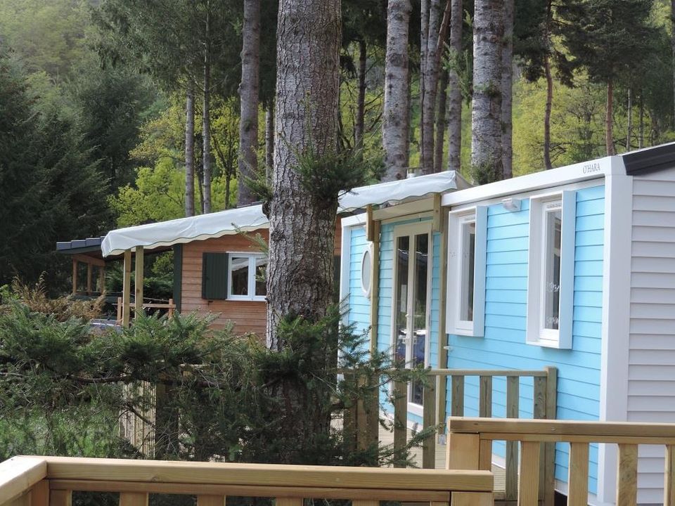 France - Auvergne - Neuvéglise - Flower Camping Le Belvédère 4*