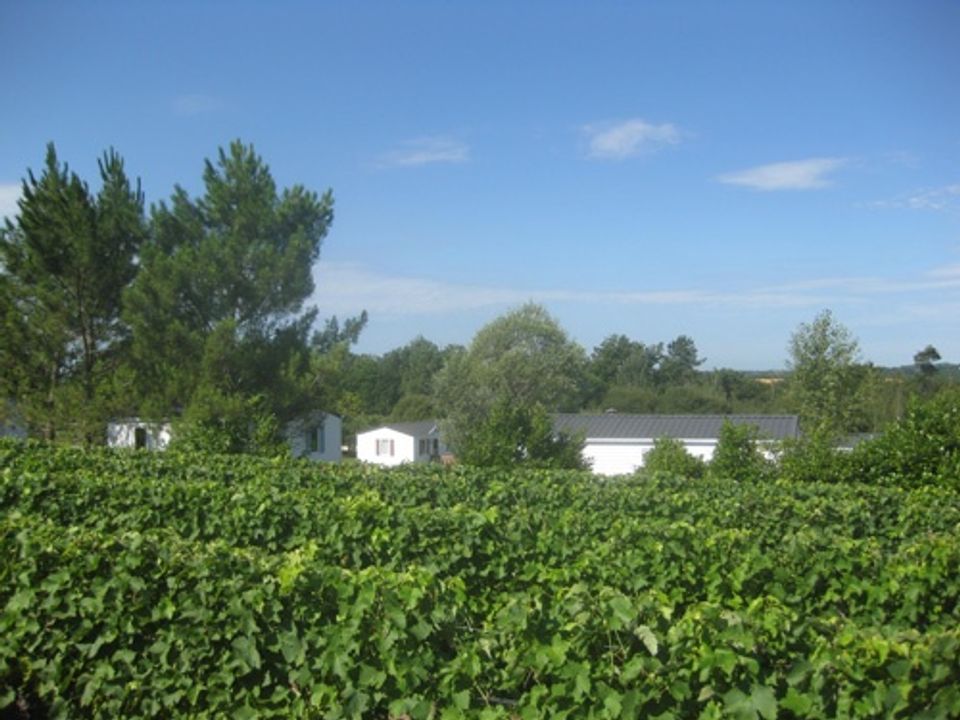 France - Poitou Loire - Fouilloux  - Camping La Motte, 3*