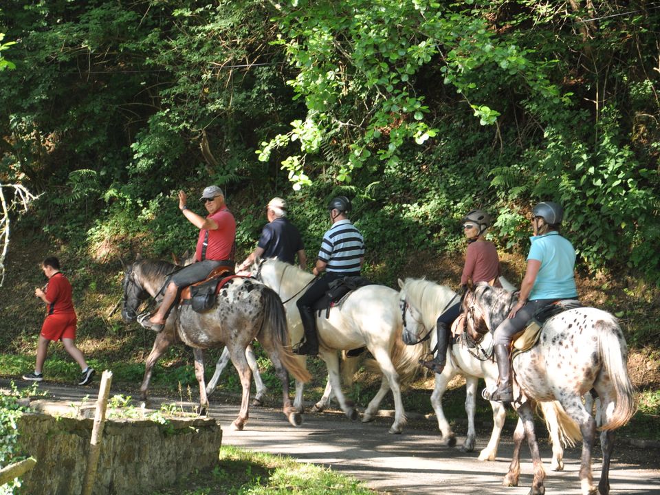 France - Sud Ouest - Payzac - Camping Le Moulin Du Châtain