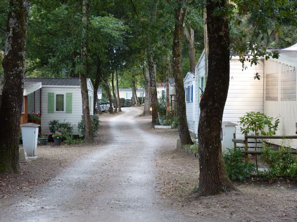 France - Atlantique Nord - Meschers sur Gironde - Camping Les Chênes Verts, 3*