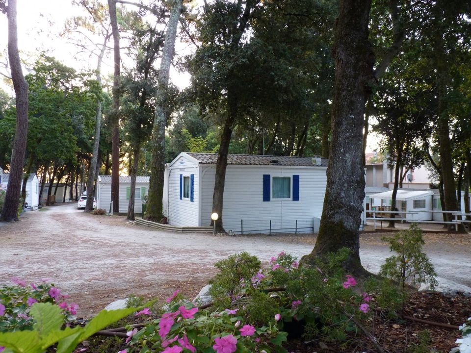 France - Atlantique Nord - Meschers sur Gironde - Camping Les Chênes Verts, 3*