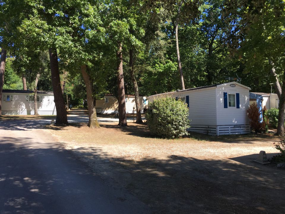 France - Atlantique Nord - Meschers sur Gironde - Camping Les Chênes Verts, 3*