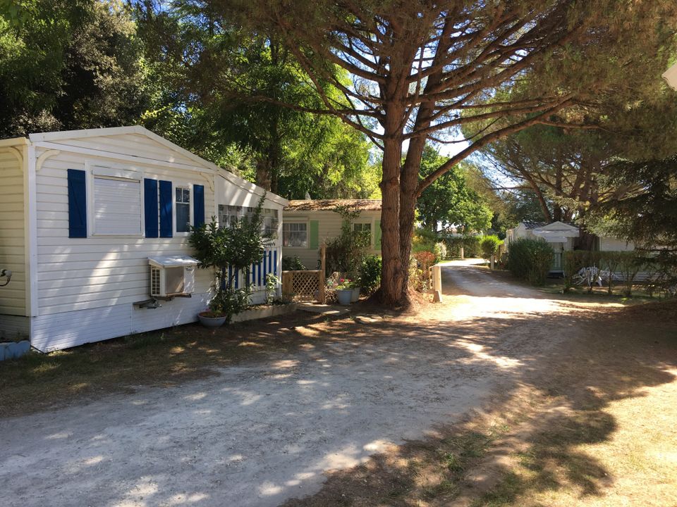 France - Atlantique Nord - Meschers sur Gironde - Camping Les Chênes Verts, 3*