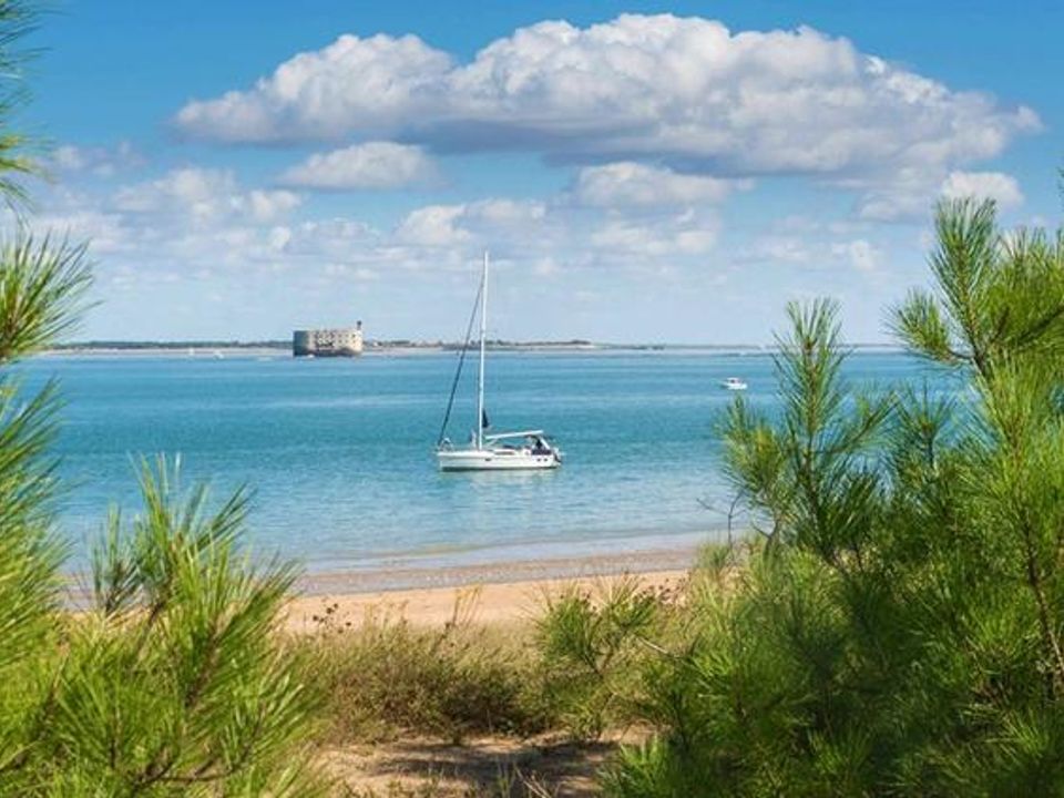 France - Atlantique Nord - Ile d'Oléron - Camping Au Pigeonnier, 4*