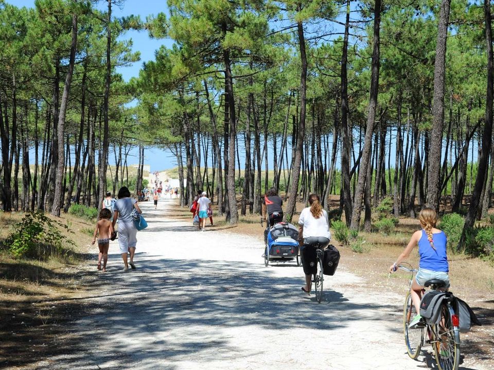 France - Atlantique Nord - Ile d'Oléron - Camping Les Gros Joncs 5*