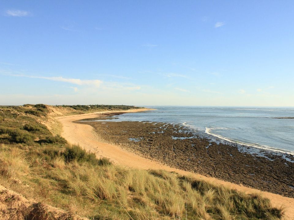 France - Atlantique Nord - Ile d'Oléron - Camping Les Gros Joncs 5*