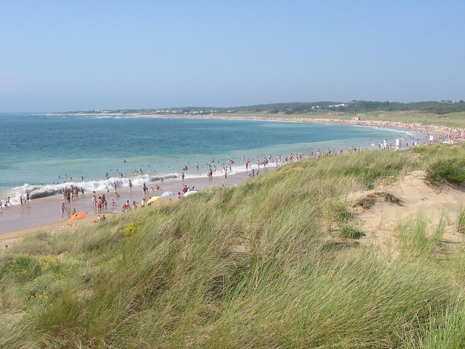 France - Atlantique Nord - Ile d'Oléron - Camping Les Gros Joncs 5*