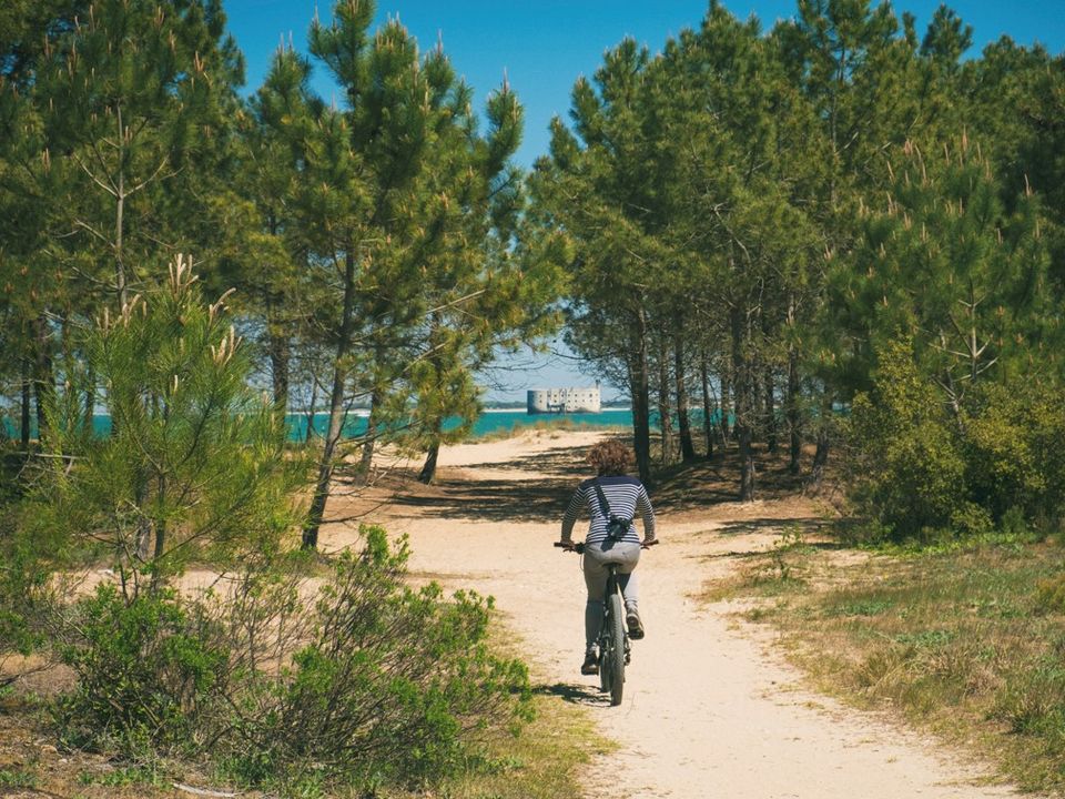 France - Atlantique Nord - Ile d'Oléron - Camping Les Gros Joncs 5*