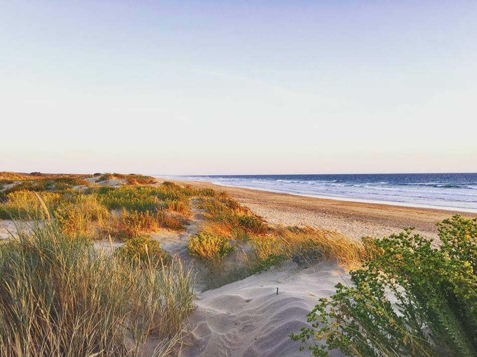 France - Atlantique Nord - Ile d'Oléron - Camping Les Gros Joncs 5*