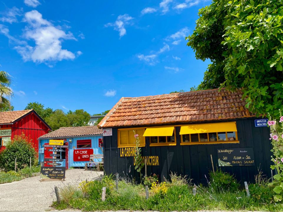 France - Atlantique Nord - Ile d'Oléron - Camping Les Gros Joncs 5*