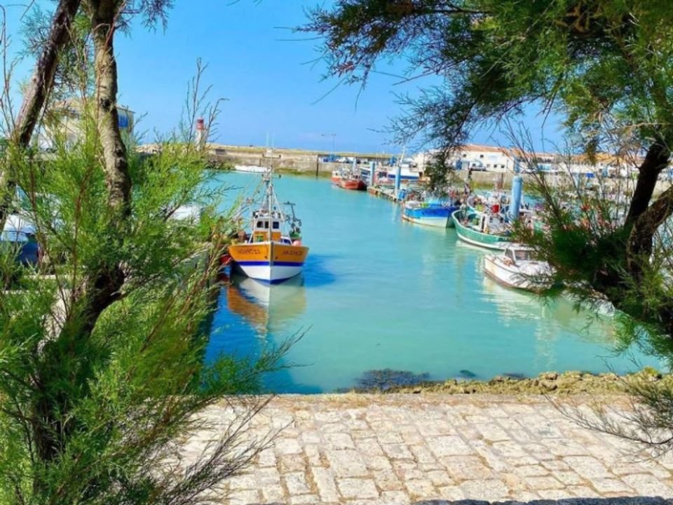 France - Atlantique Nord - Ile d'Oléron - Camping Les Gros Joncs 5*