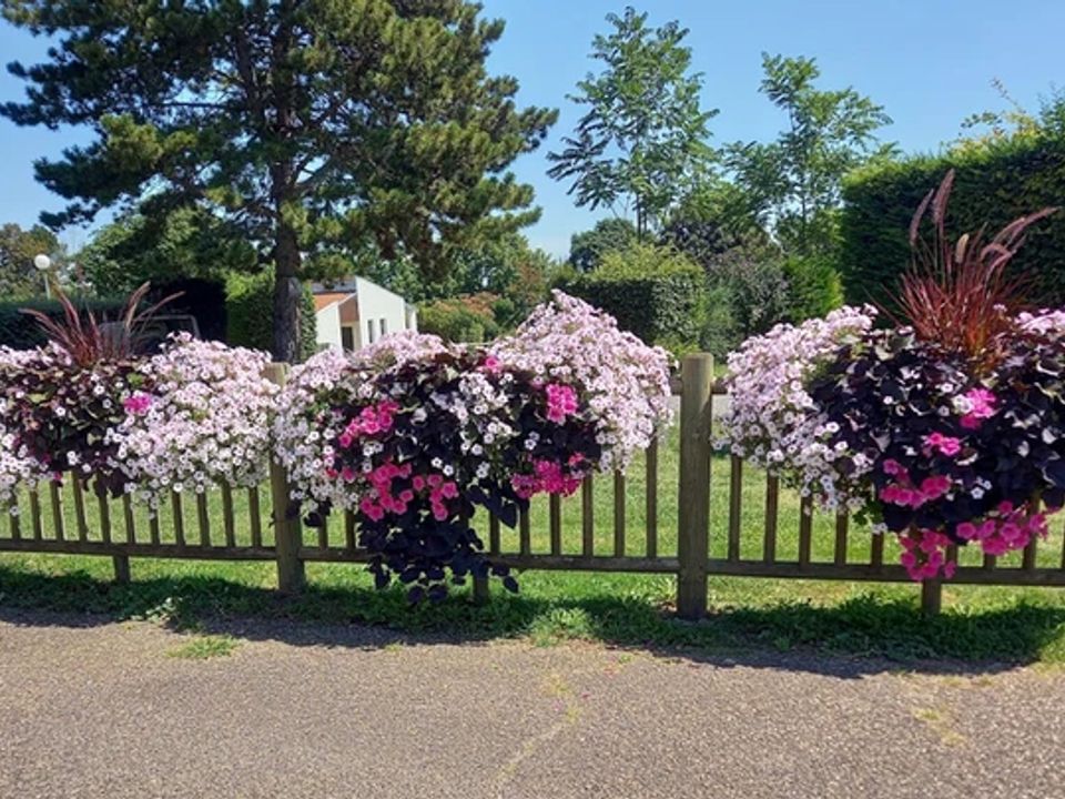 Camping municipal Le Mont Libre Auvergne - Gannat visuel 28/29