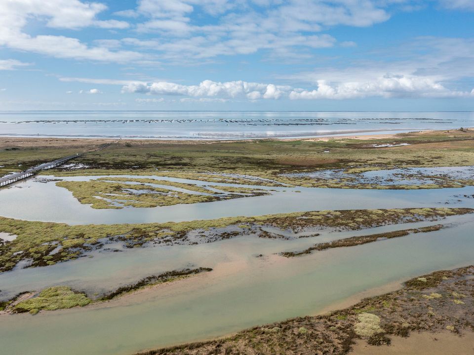 France - Atlantique Nord - La Tranche sur Mer - Camping Romanée - La Belle Henriette, 3*