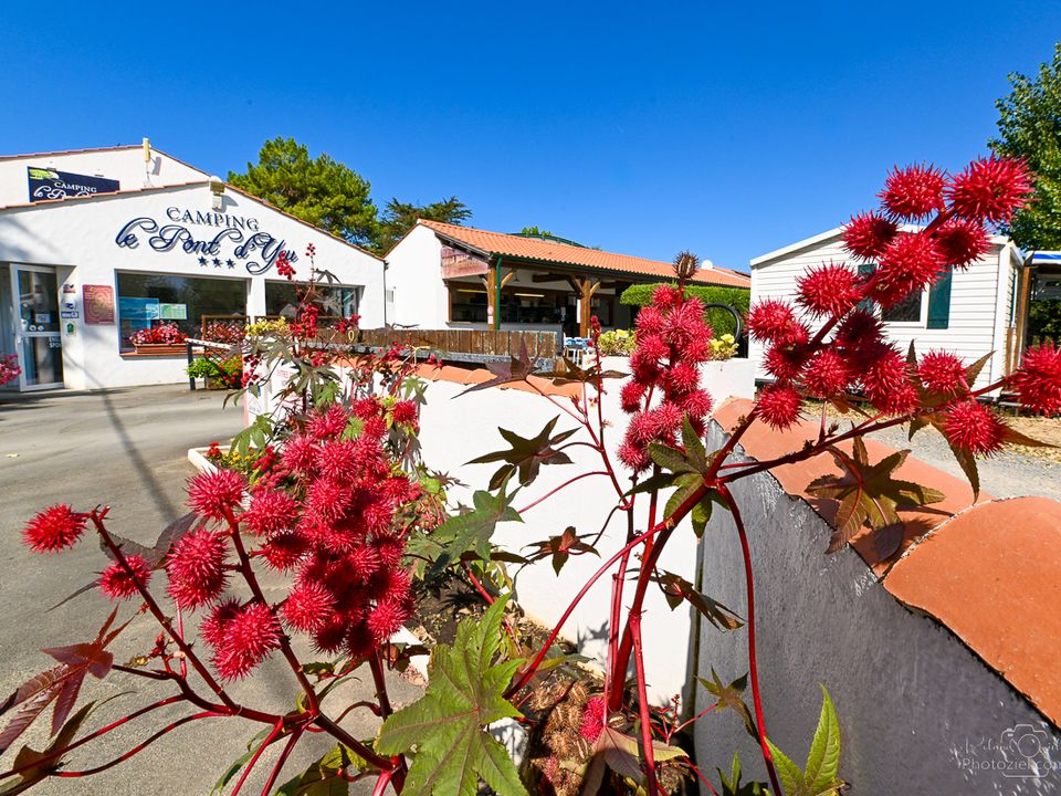 Camping Le Pont D&apos;yeu