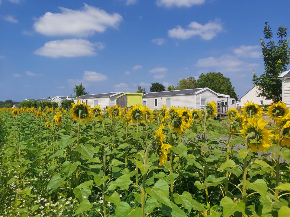 France - Centre - Bréhémont - Flower Camping Loire et Châteaux, 4*