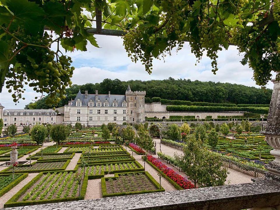 France - Centre - Bréhémont - Flower Camping Loire et Châteaux, 4*