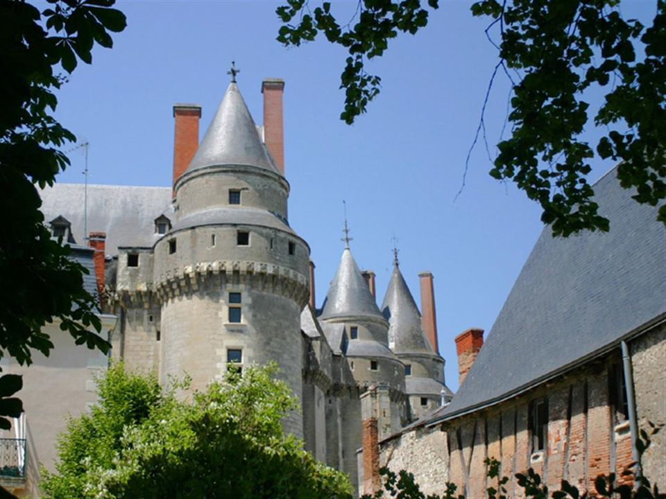 France - Centre - Bréhémont - Flower Camping Loire et Châteaux, 4*