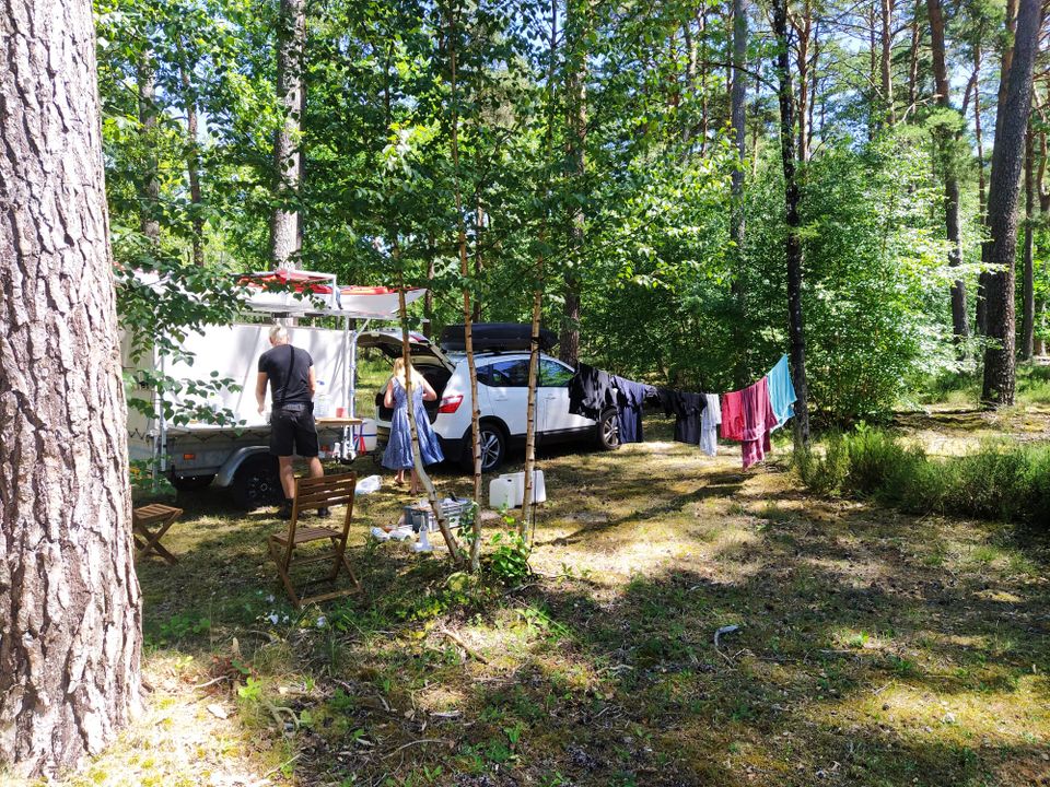 Le camping des PinsOnly Camp à NANCAY, tarifs et réservations