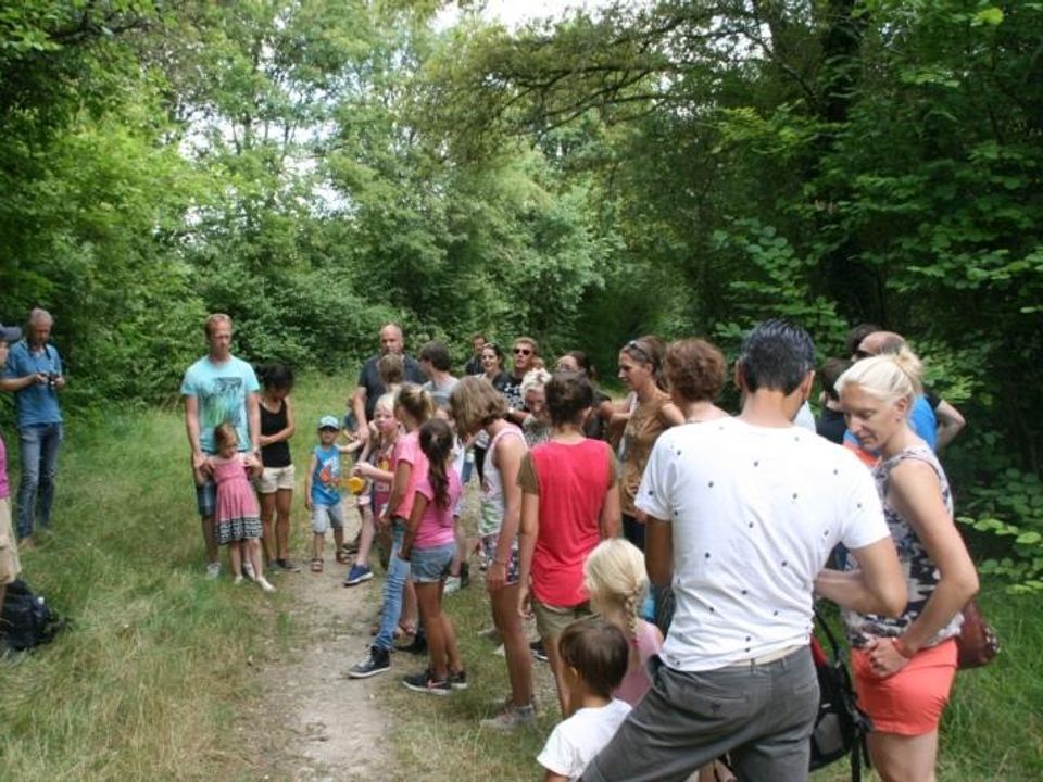 Camping Ushuaïa Villages Au Bois Joli Bourgogne - Andryes visuel 8/10