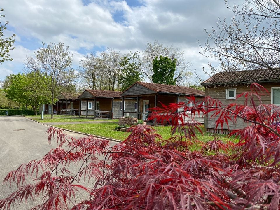 Camping le Florival Alsace - Issenheim visuel 2/10