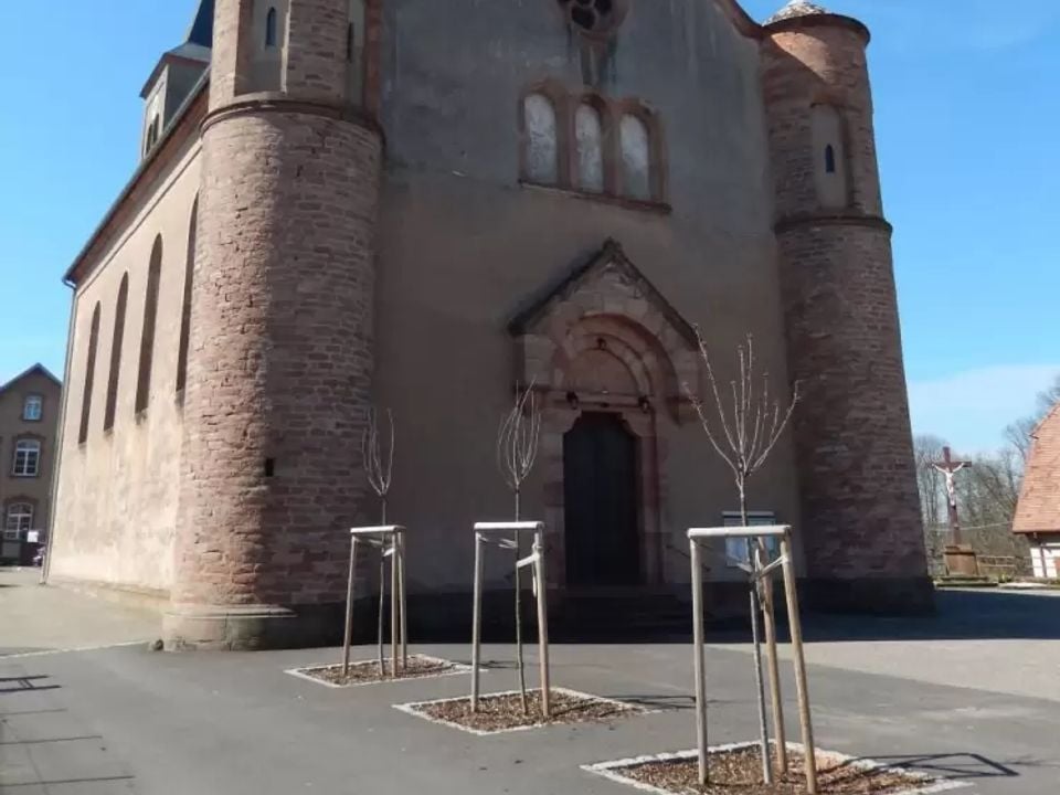 Camping Ramstein Plage Lorraine - Baerenthal visuel 10/10