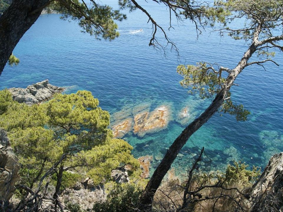 France - Côte d'Azur - Hyères - Camping Clair de Lune 4*