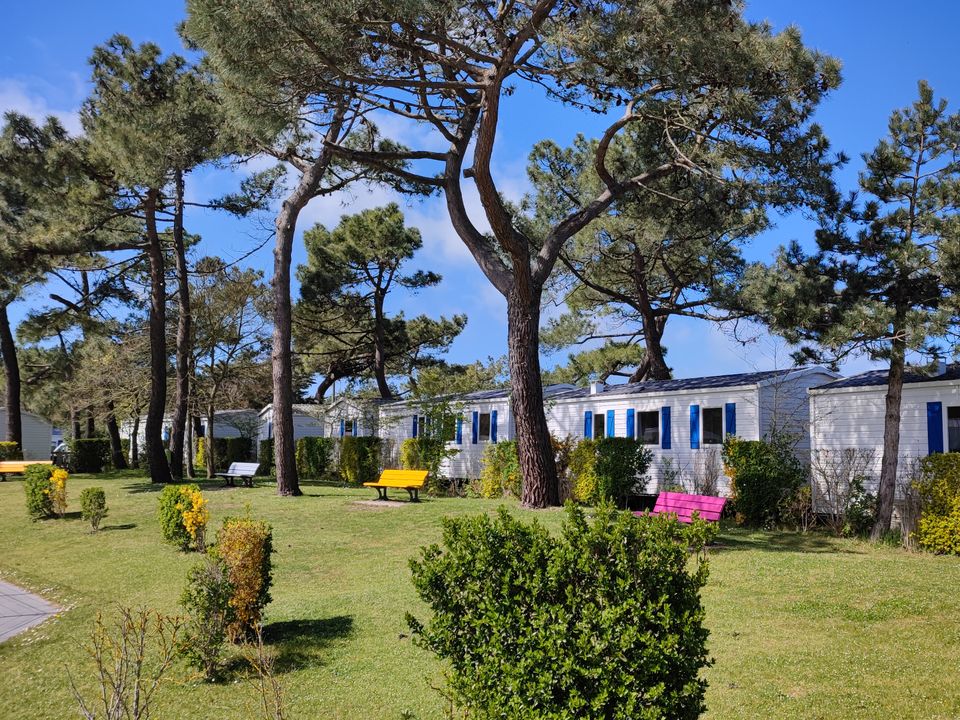 France - Nord et Picardie - Cayeux sur Mer - Camping Municipal Les Galets de la Mollière 3*