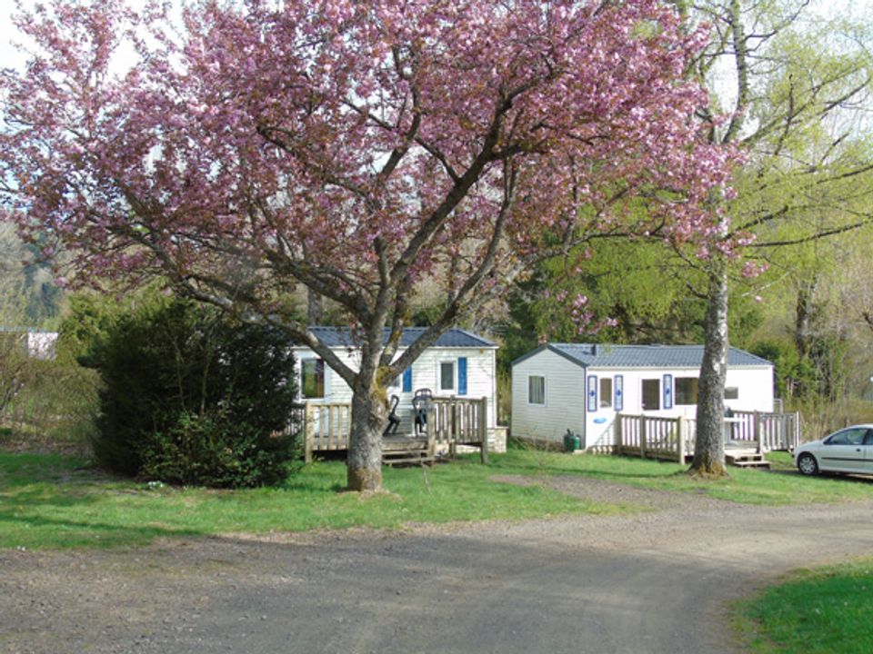 France - Auvergne - La Bourboule - Camping la Marmotte, 3*