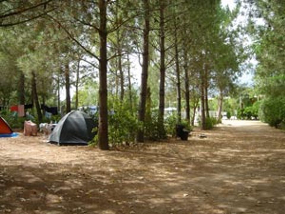 France - Corse - Figari - Camping U Moru 3*