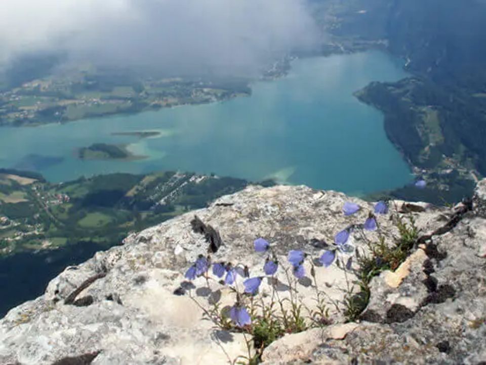France - Alpes et Savoie - Lépin le Lac - Camping Le Mont Grele 2*