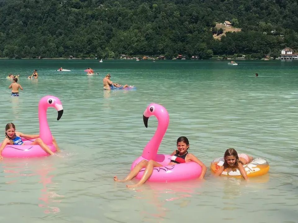 France - Alpes et Savoie - Lépin le Lac - Camping Le Mont Grele 2*