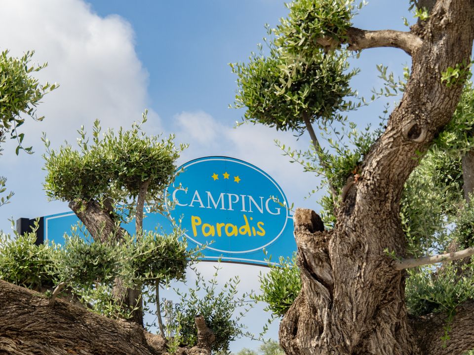 Espagne - Costa de Azahar - Valence - Calig - Camping L'Orangeraie - Camping Paradis, 3*
