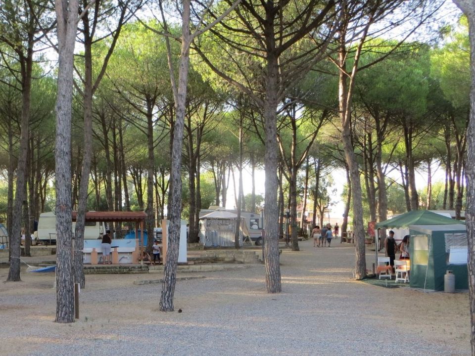 Italie - Calabre - Cropani Marina - Villaggio Camping Lungomare, 3*