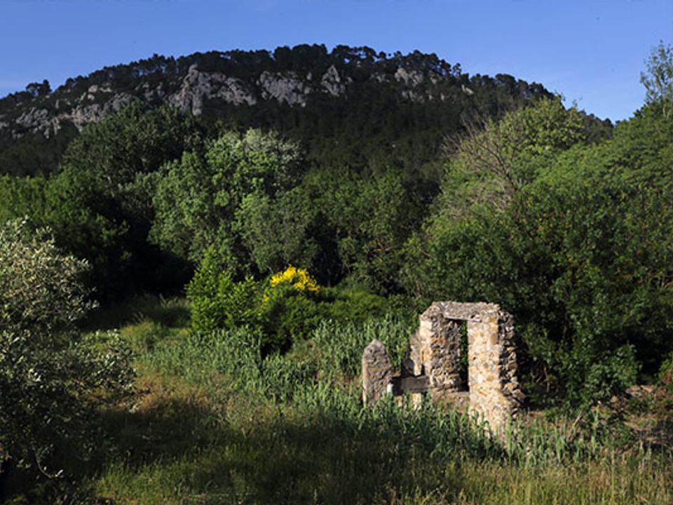 France - Languedoc - Bize Minervois - Flower Camping de l'Olivigne, 3*