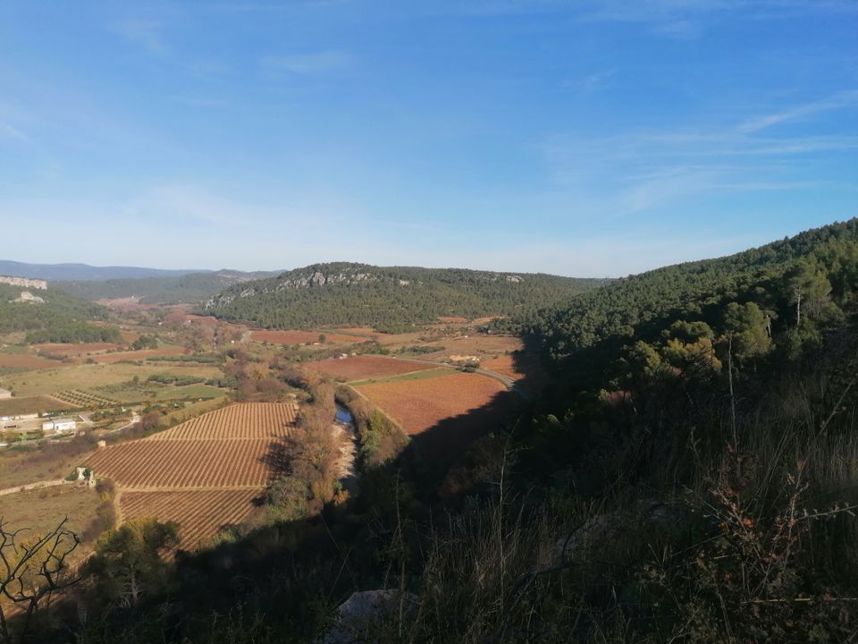 France - Languedoc - Bize Minervois - Flower Camping de l'Olivigne, 3*