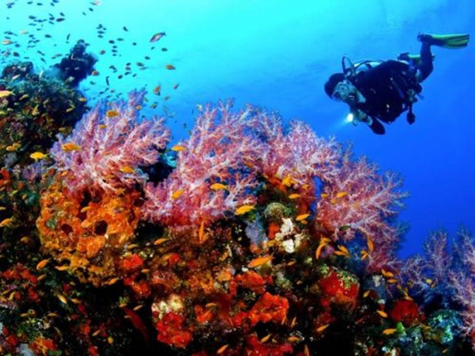 Camping Villaggio Nettuno Campanie - Massa Lubrense visuel 4/10