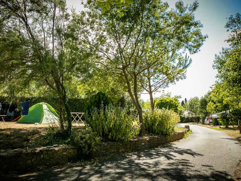 France - Languedoc - Villegly - Camping Sites et Paysages - Le Moulin de Sainte-Anne, 4*