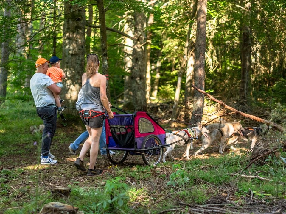 VVF Villages Saint Julien Chapteuil Auvergne - Saint-Julien-Chapteuil visuel 23/29