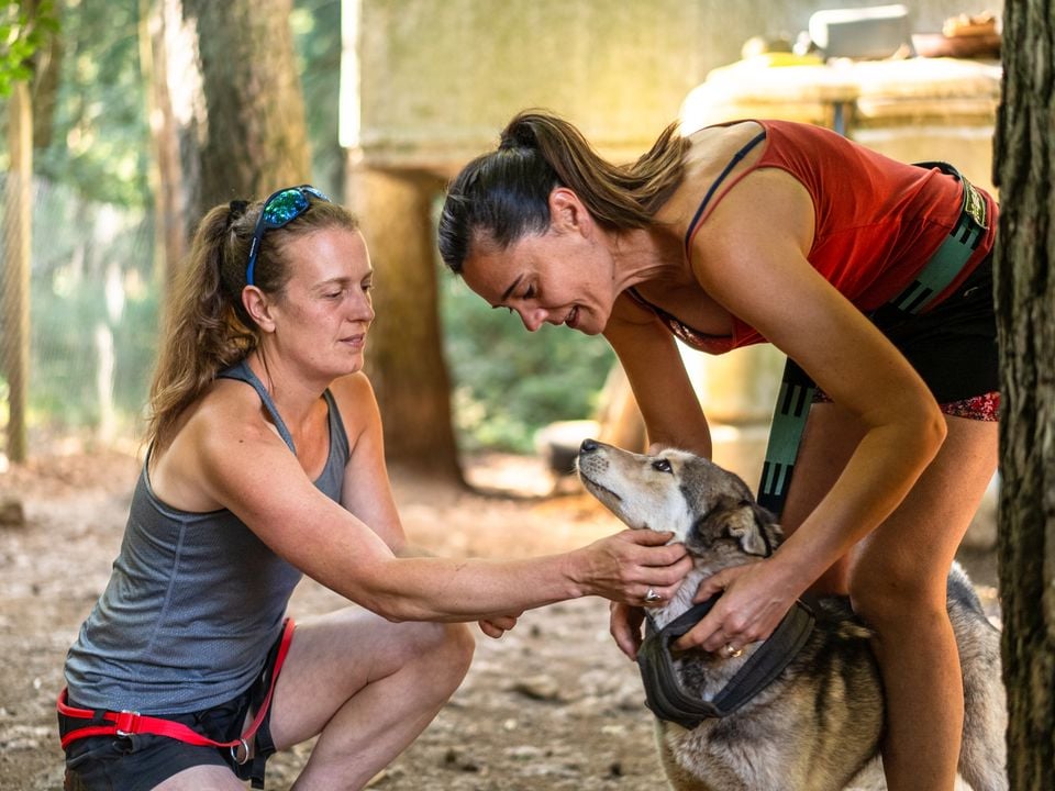VVF Villages Saint Julien Chapteuil Auvergne - Saint-Julien-Chapteuil visuel 21/29