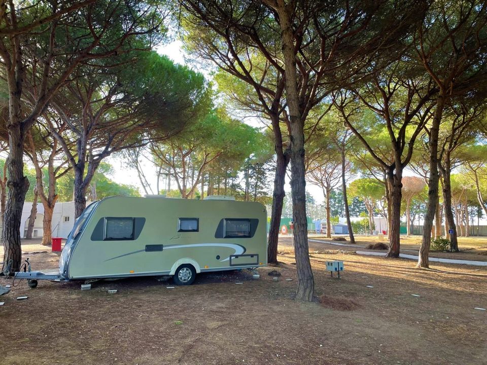 Espagne - Andalousie - Conil de la Frontera - Camping Conil