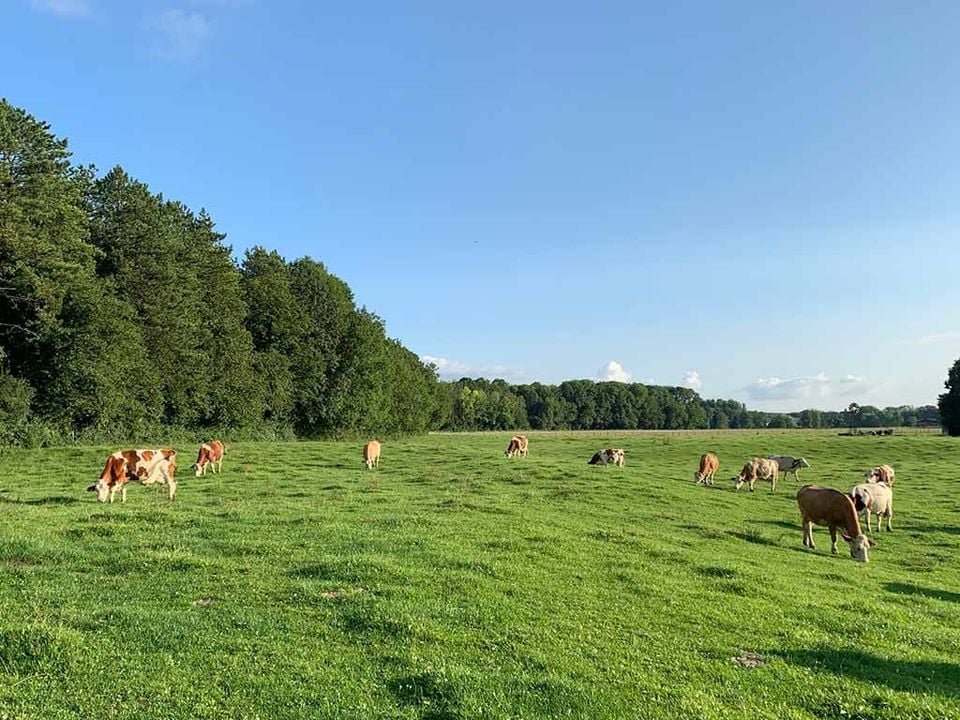 Camping La Saline Franche-Comté - Arc-et-Senans visuel 7/10