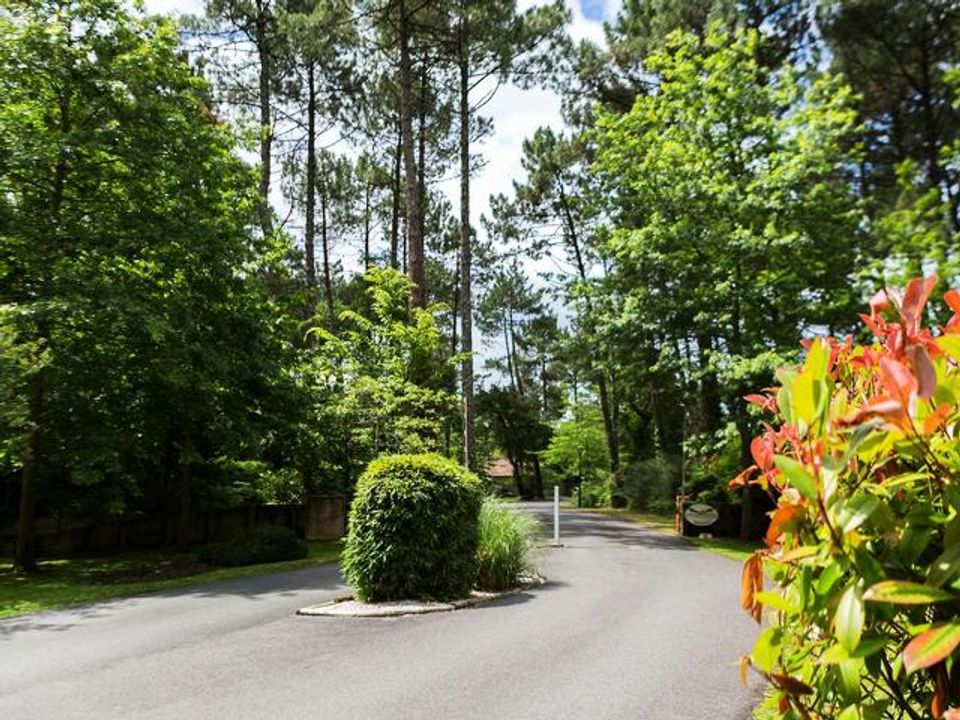 France - Atlantique Sud - Moliets - Villas La Clairière aux Chevreuils