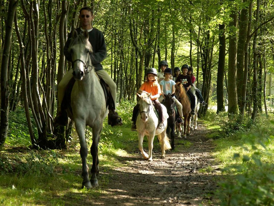 France - Nord et Picardie - Val Joly - Eppe Sauvage - Résidence Les Cottages de Valjoly, 3*